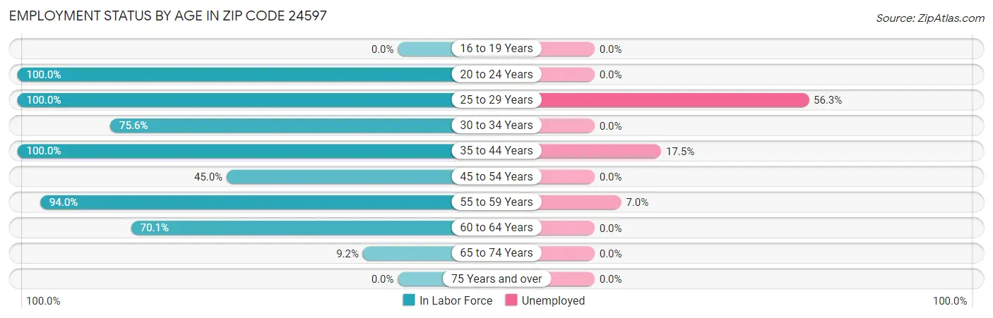 Employment Status by Age in Zip Code 24597
