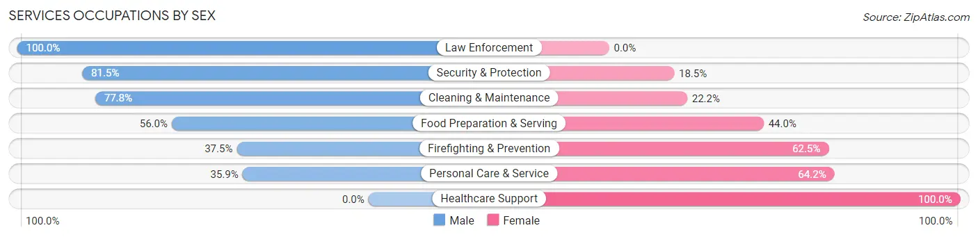 Services Occupations by Sex in Zip Code 24598