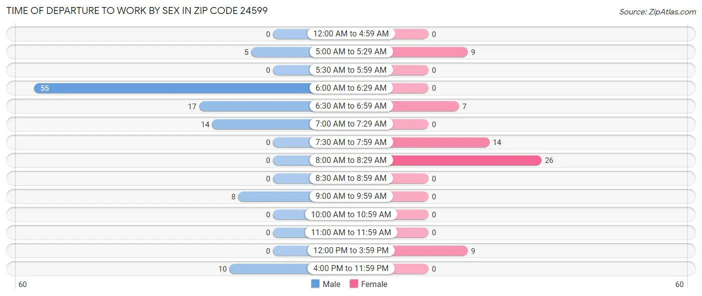 Time of Departure to Work by Sex in Zip Code 24599