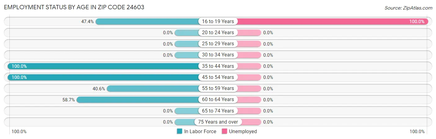 Employment Status by Age in Zip Code 24603