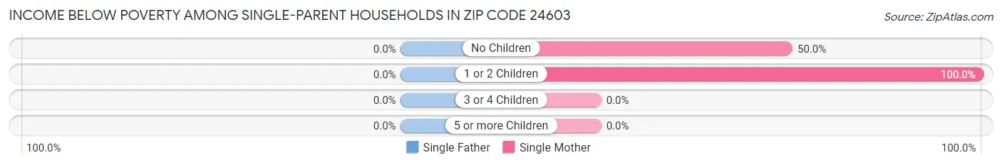 Income Below Poverty Among Single-Parent Households in Zip Code 24603