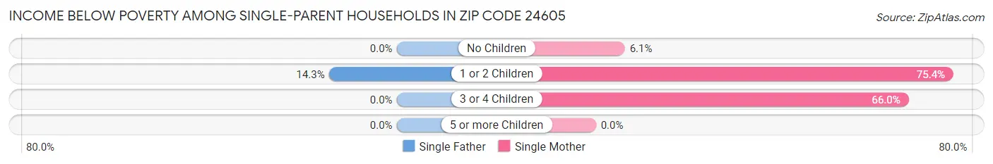 Income Below Poverty Among Single-Parent Households in Zip Code 24605