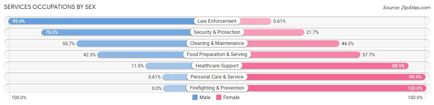 Services Occupations by Sex in Zip Code 24605
