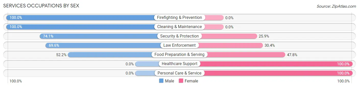 Services Occupations by Sex in Zip Code 24609
