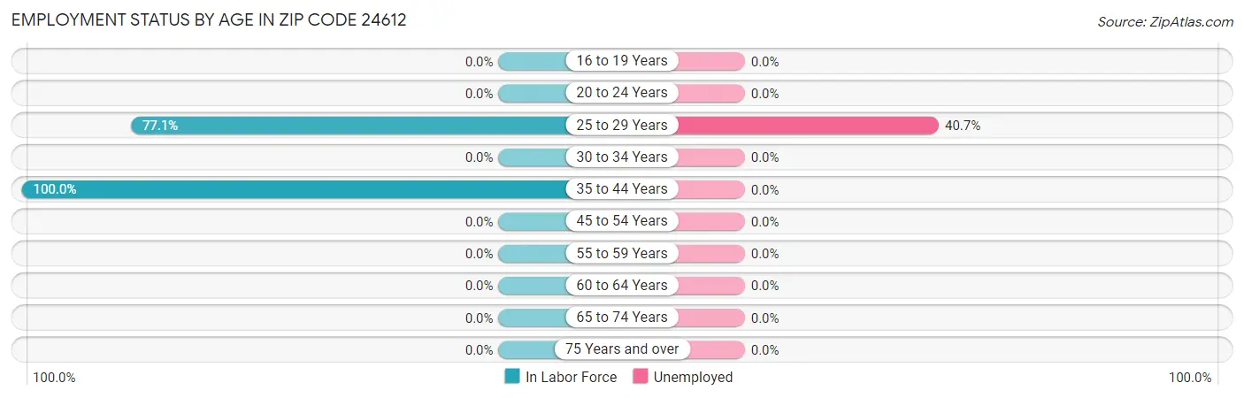 Employment Status by Age in Zip Code 24612