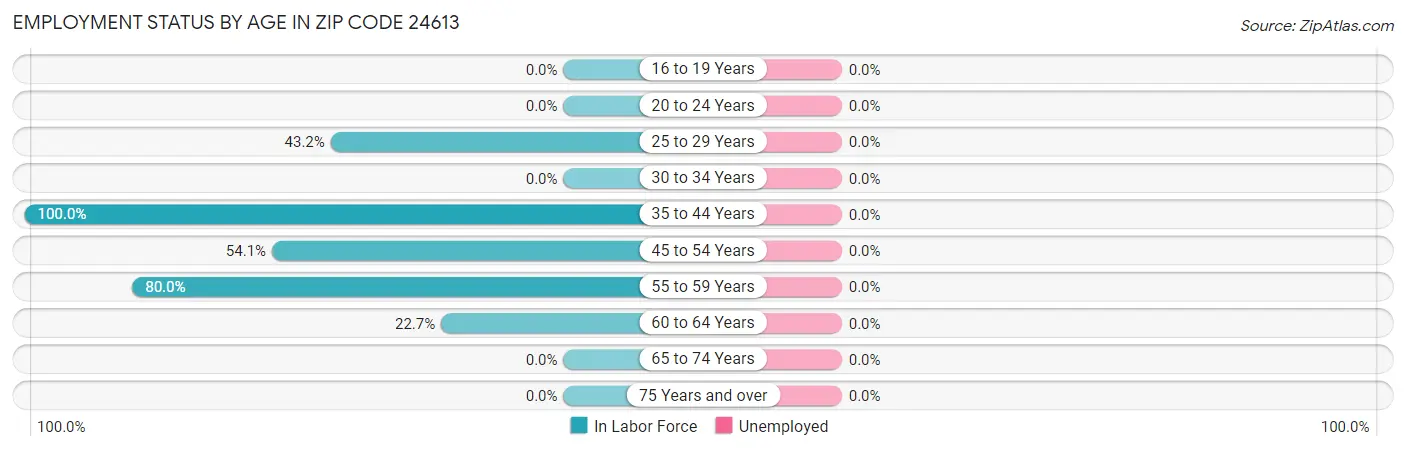 Employment Status by Age in Zip Code 24613