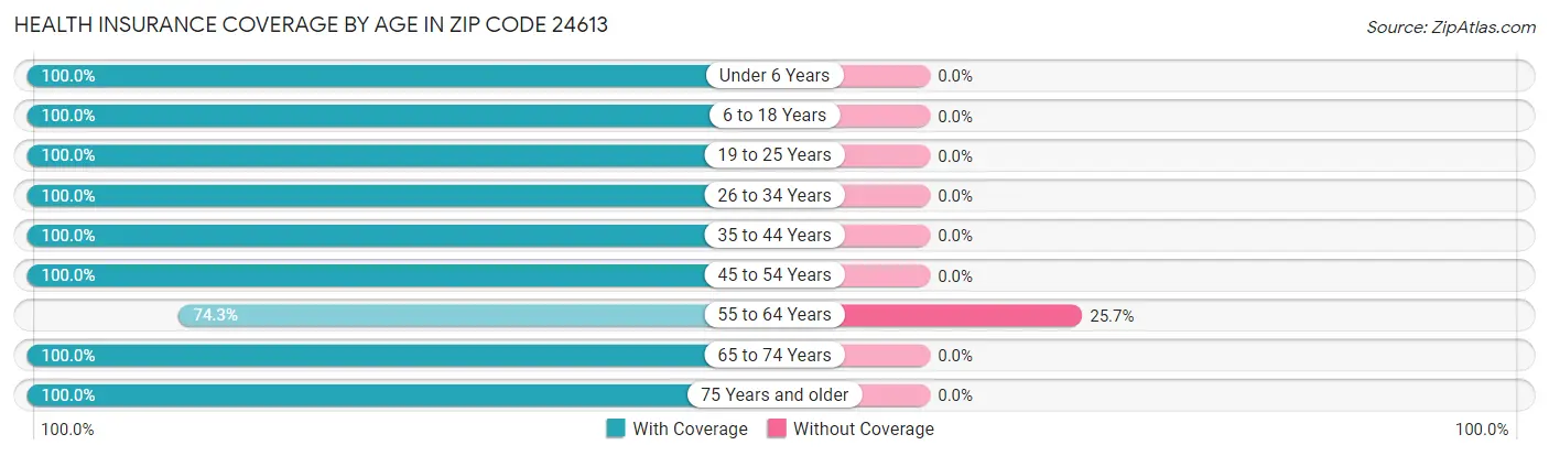 Health Insurance Coverage by Age in Zip Code 24613