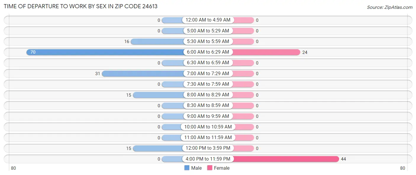 Time of Departure to Work by Sex in Zip Code 24613