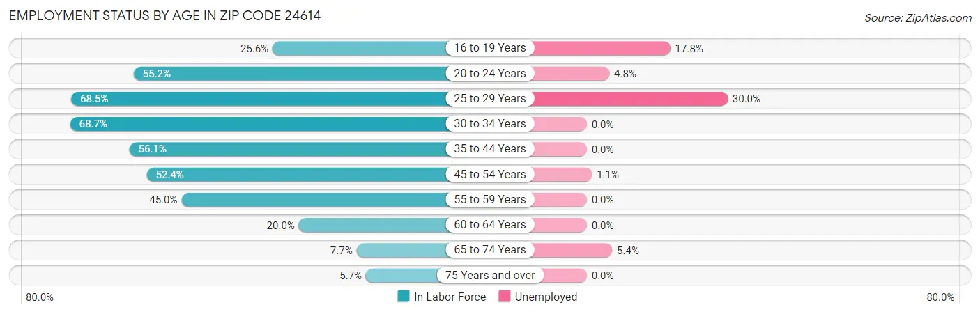 Employment Status by Age in Zip Code 24614