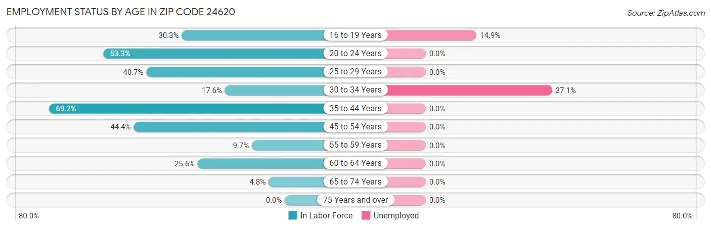 Employment Status by Age in Zip Code 24620