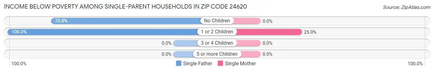 Income Below Poverty Among Single-Parent Households in Zip Code 24620