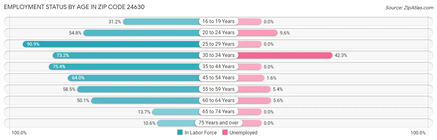 Employment Status by Age in Zip Code 24630