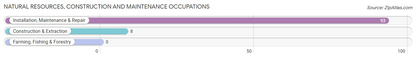 Natural Resources, Construction and Maintenance Occupations in Zip Code 24631