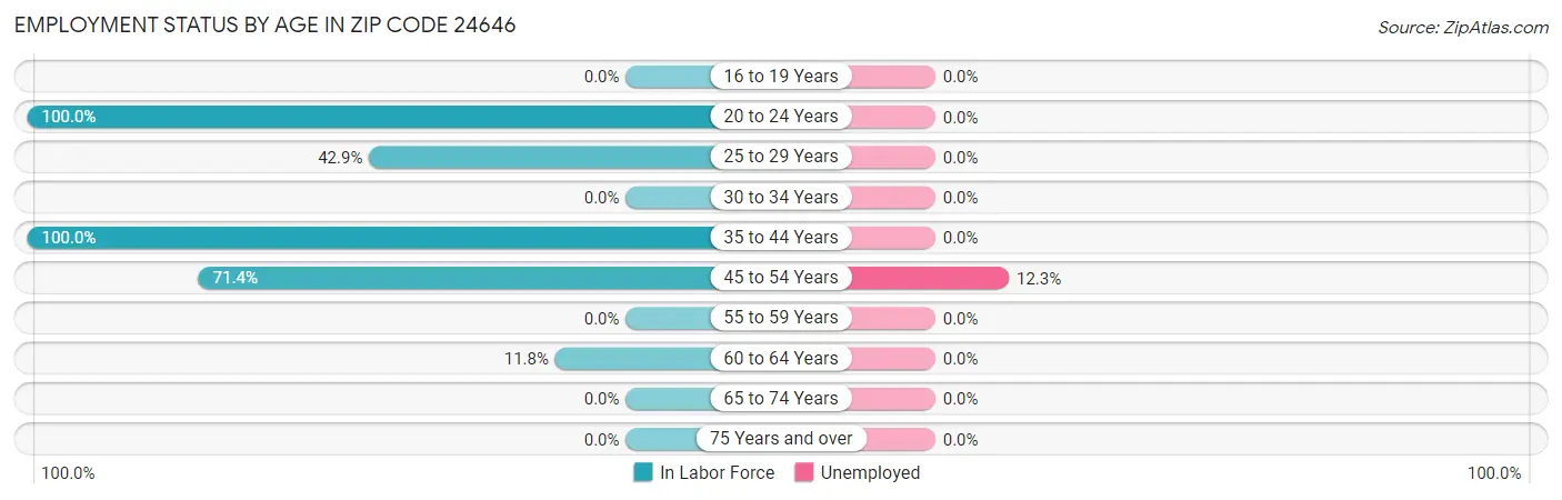 Employment Status by Age in Zip Code 24646