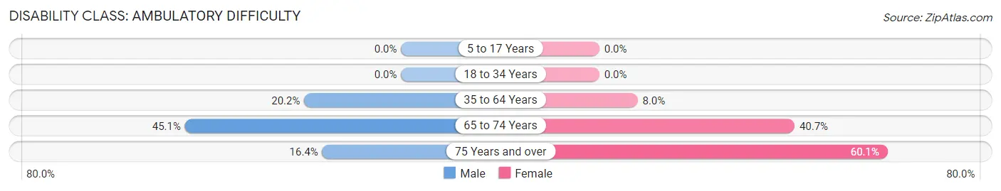 Disability in Zip Code 24656: <span>Ambulatory Difficulty</span>