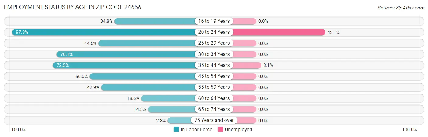 Employment Status by Age in Zip Code 24656