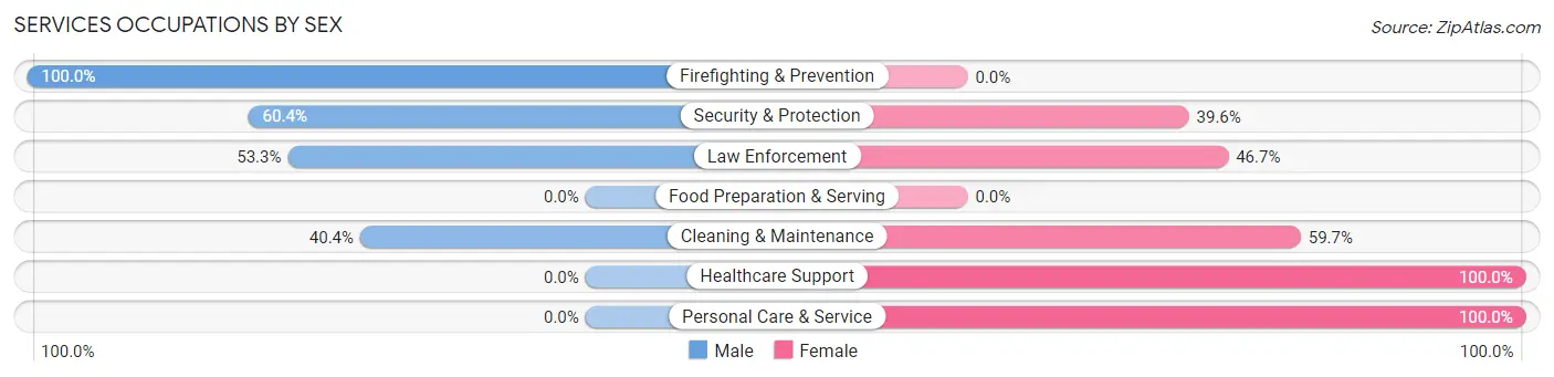 Services Occupations by Sex in Zip Code 24656