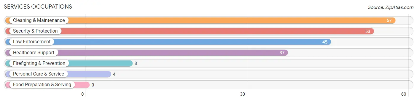 Services Occupations in Zip Code 24656