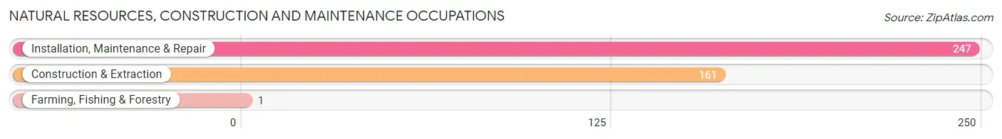 Natural Resources, Construction and Maintenance Occupations in Zip Code 24701