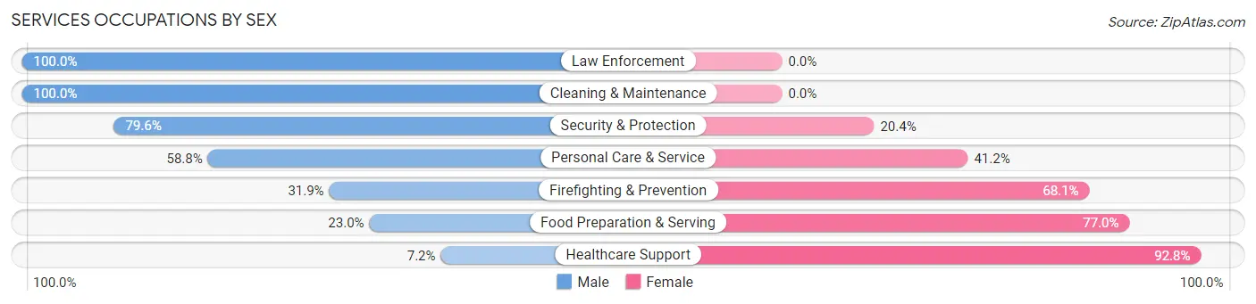Services Occupations by Sex in Zip Code 24701