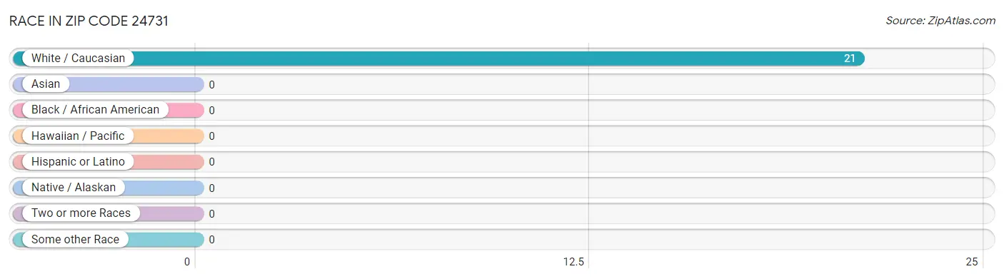 Race in Zip Code 24731