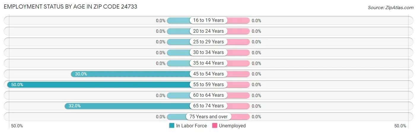 Employment Status by Age in Zip Code 24733