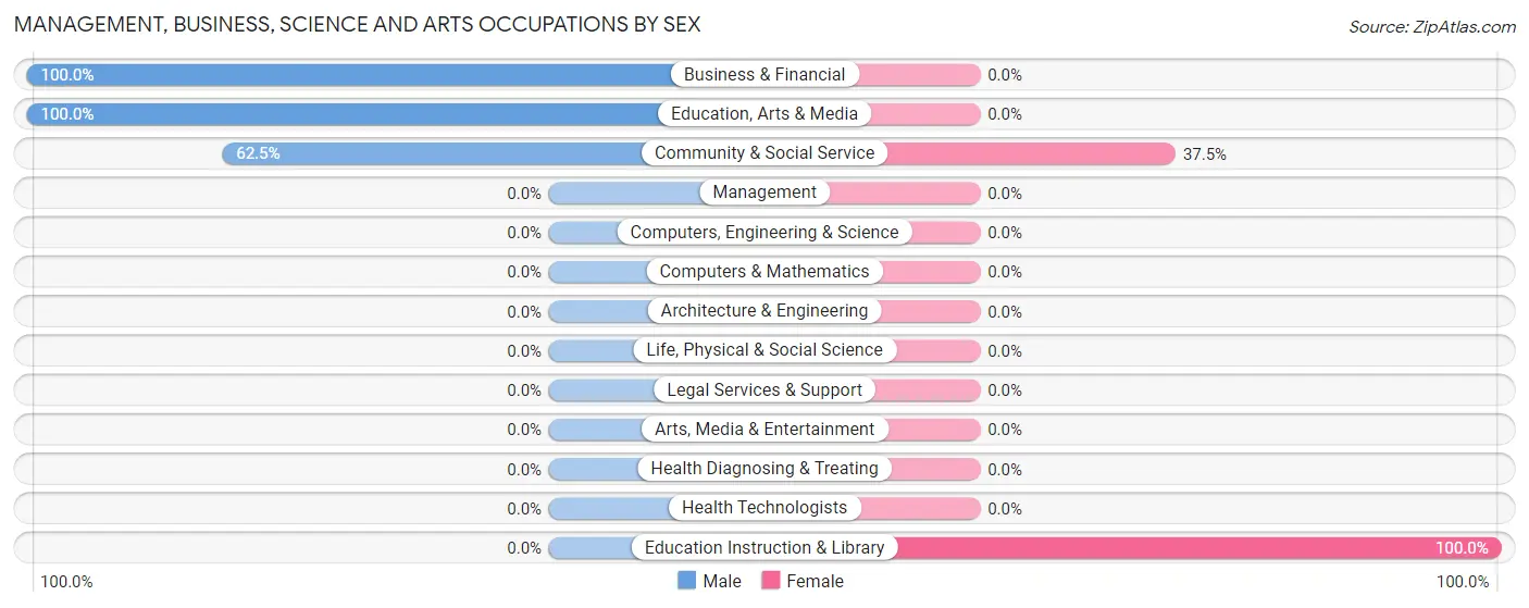 Management, Business, Science and Arts Occupations by Sex in Zip Code 24733