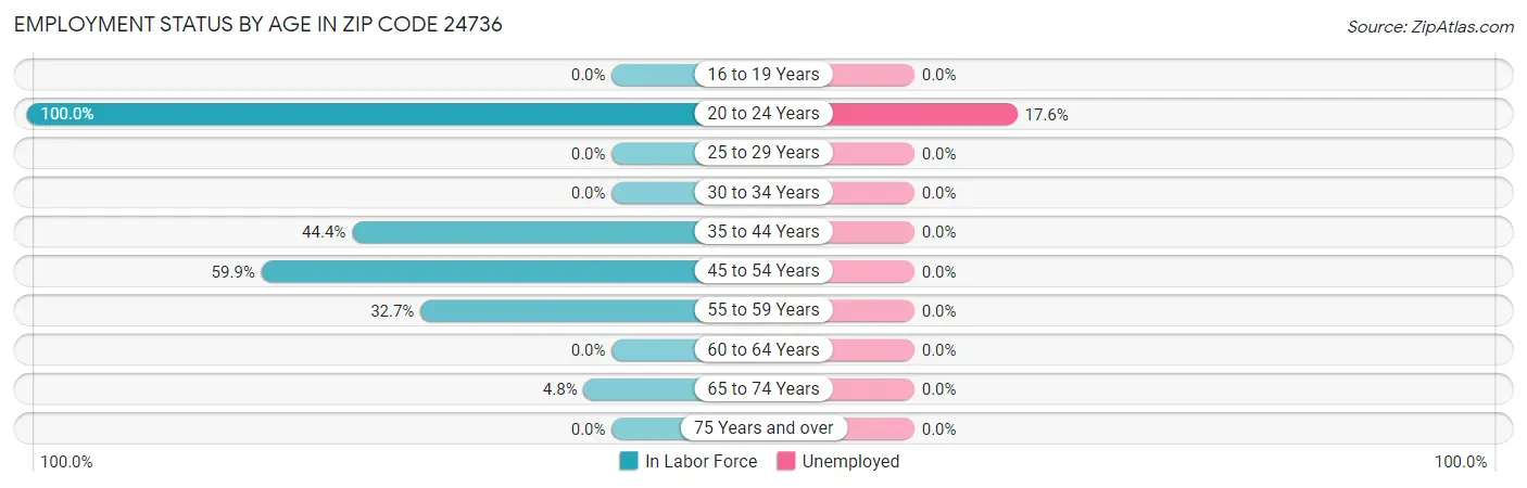 Employment Status by Age in Zip Code 24736