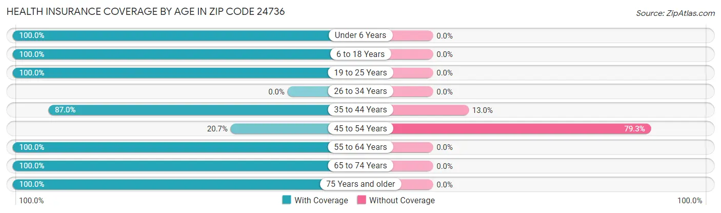 Health Insurance Coverage by Age in Zip Code 24736