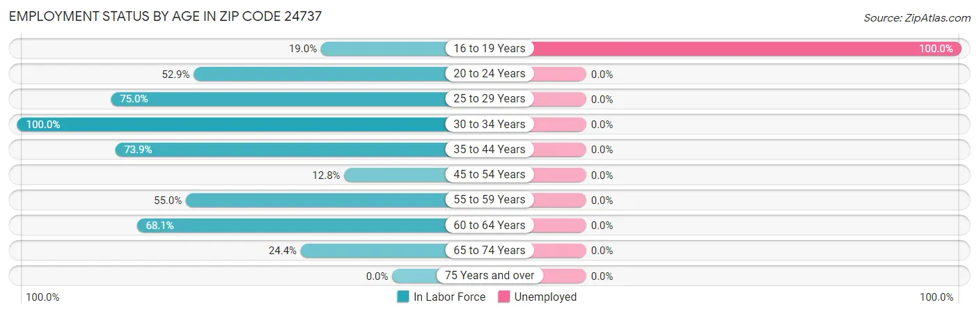 Employment Status by Age in Zip Code 24737