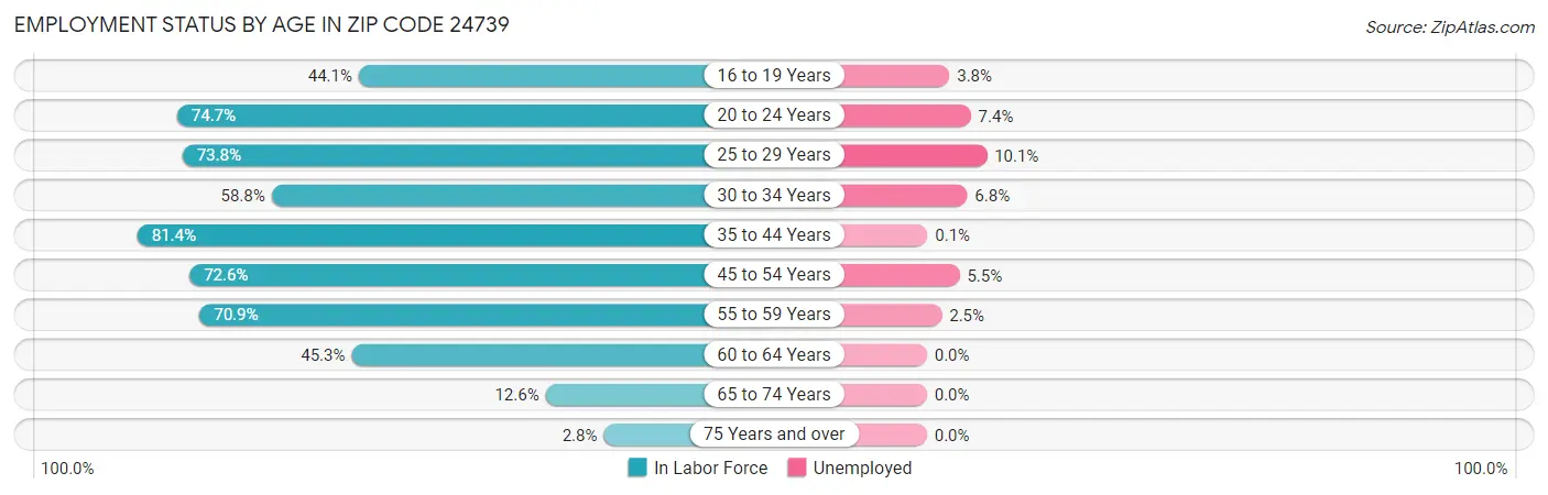 Employment Status by Age in Zip Code 24739