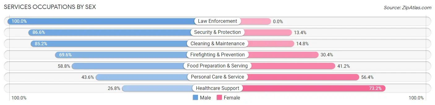 Services Occupations by Sex in Zip Code 24739
