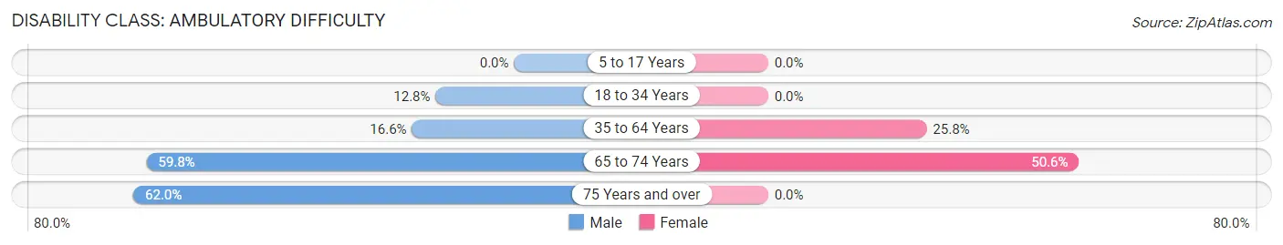 Disability in Zip Code 24747: <span>Ambulatory Difficulty</span>