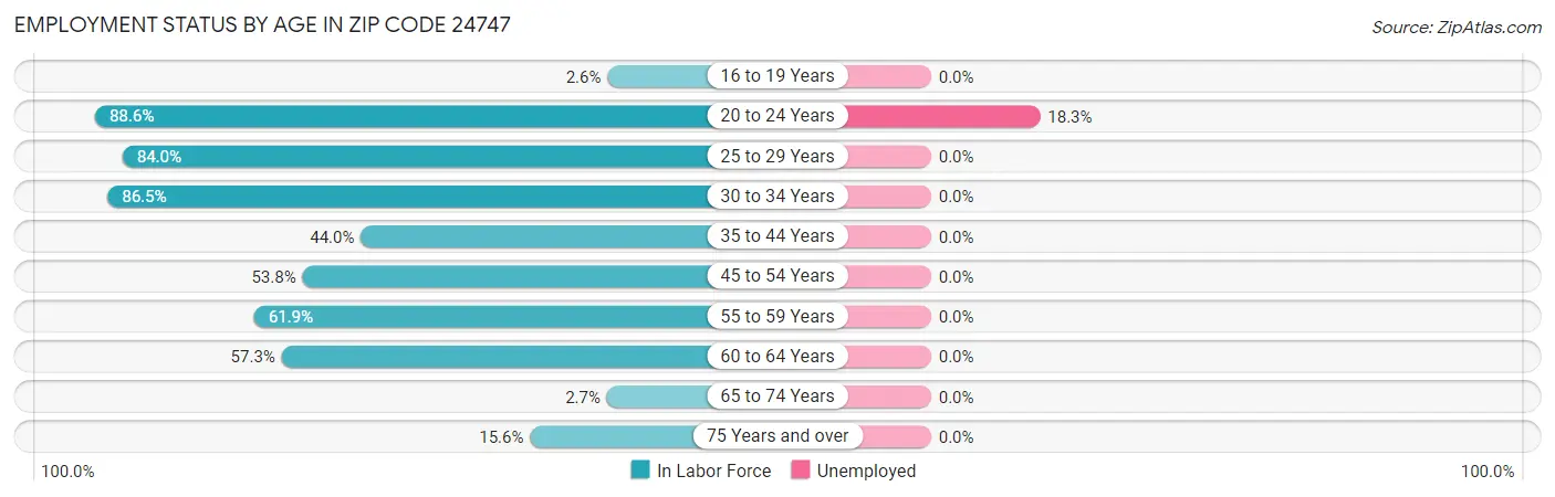Employment Status by Age in Zip Code 24747