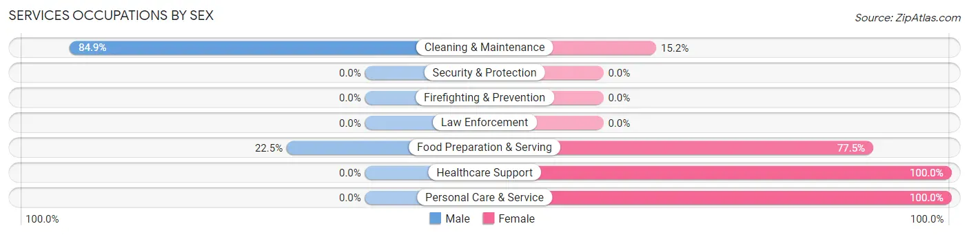 Services Occupations by Sex in Zip Code 24747