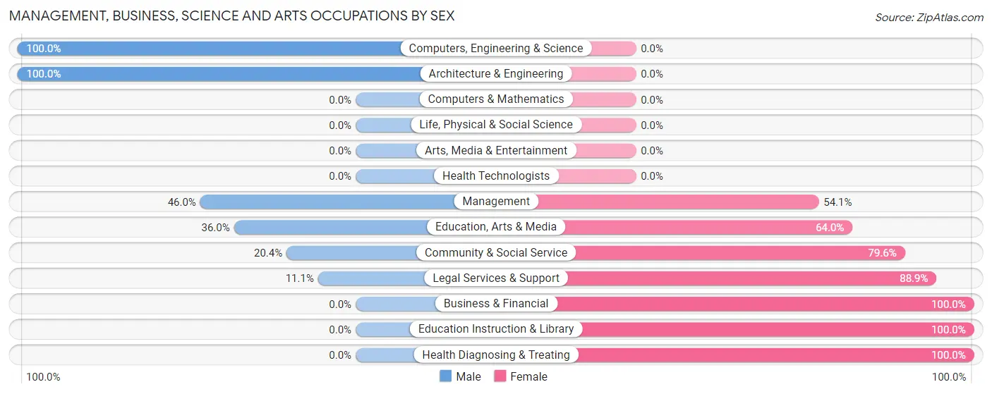 Management, Business, Science and Arts Occupations by Sex in Zip Code 24801