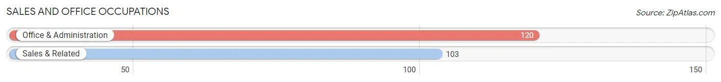 Sales and Office Occupations in Zip Code 24801
