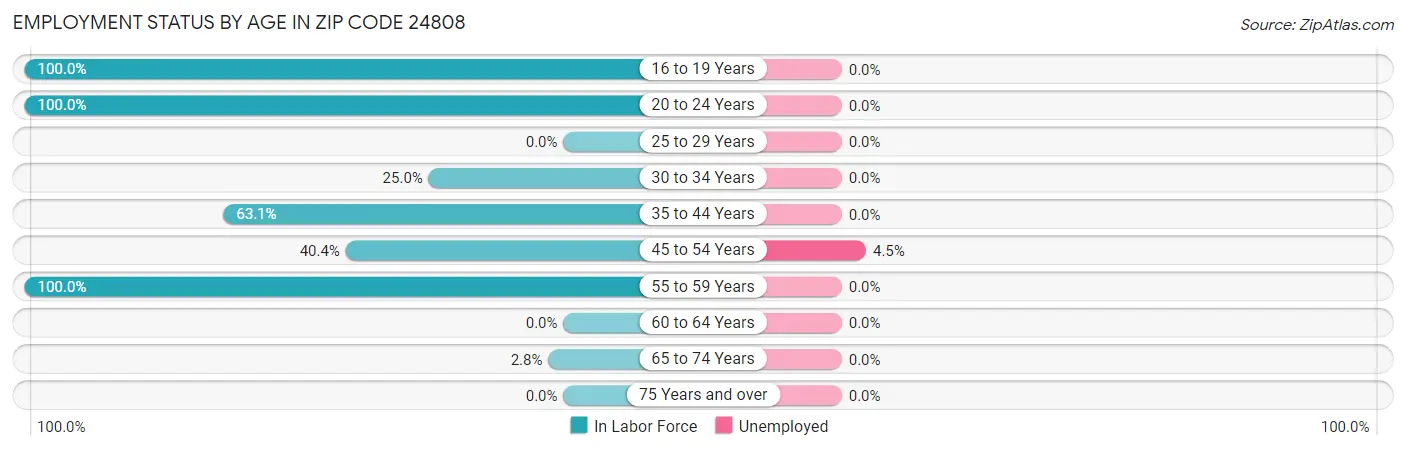 Employment Status by Age in Zip Code 24808