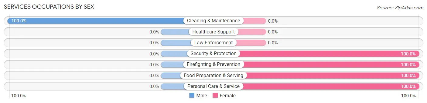 Services Occupations by Sex in Zip Code 24808
