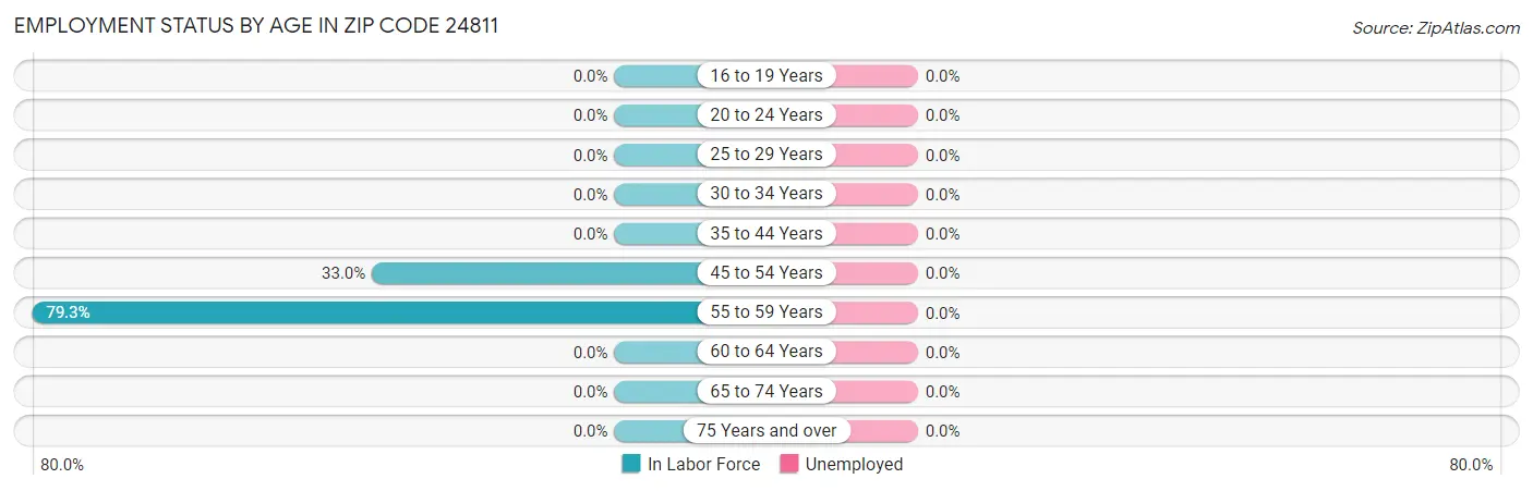 Employment Status by Age in Zip Code 24811