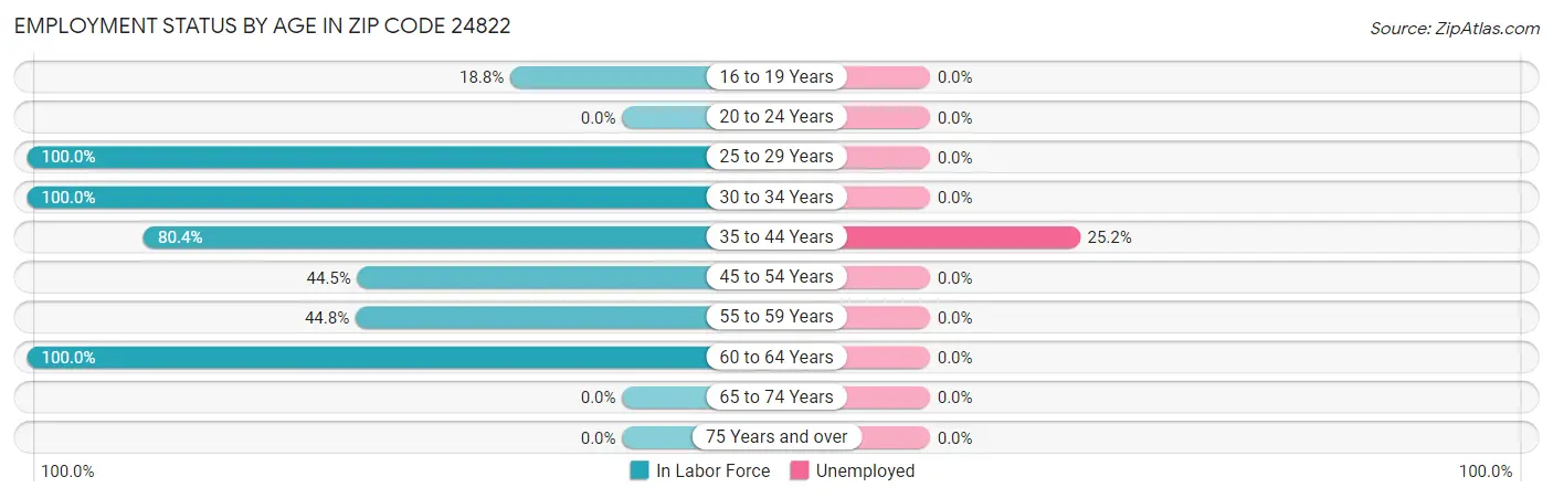 Employment Status by Age in Zip Code 24822