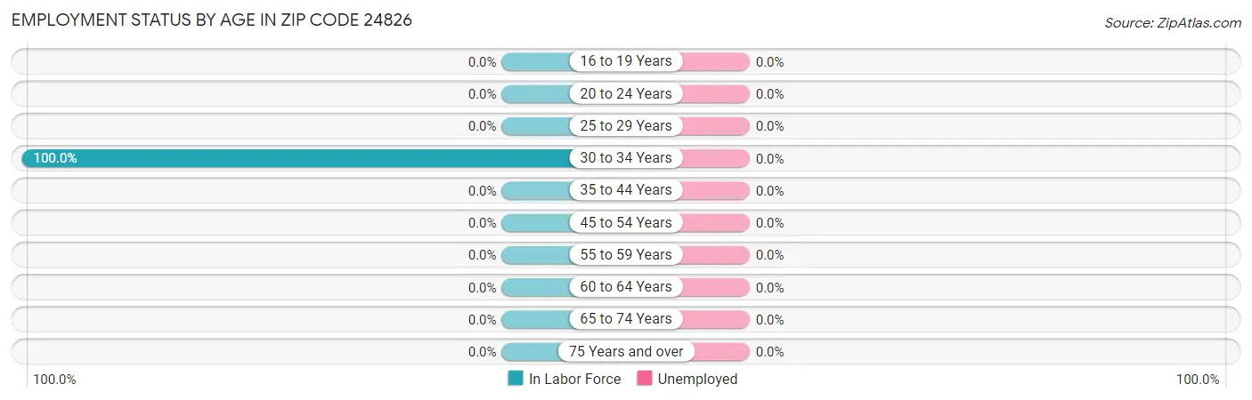 Employment Status by Age in Zip Code 24826