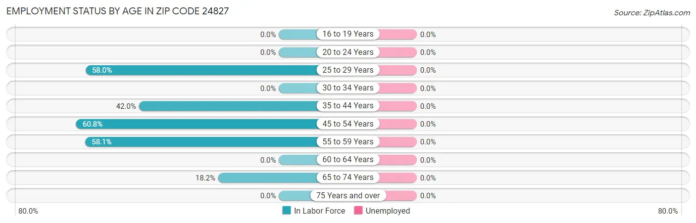 Employment Status by Age in Zip Code 24827