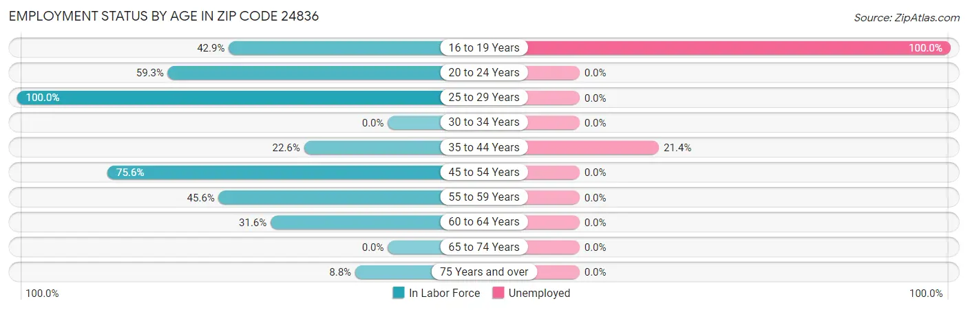 Employment Status by Age in Zip Code 24836