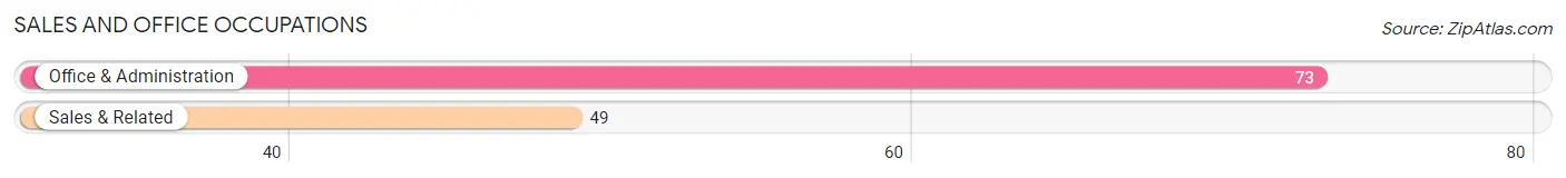 Sales and Office Occupations in Zip Code 24844
