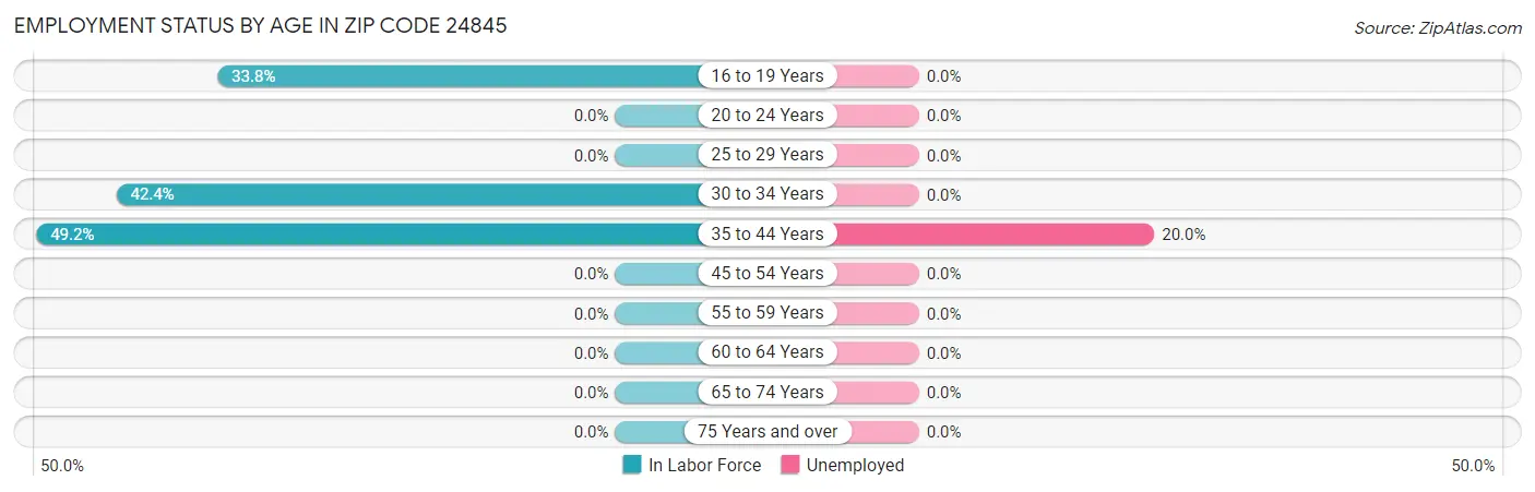 Employment Status by Age in Zip Code 24845