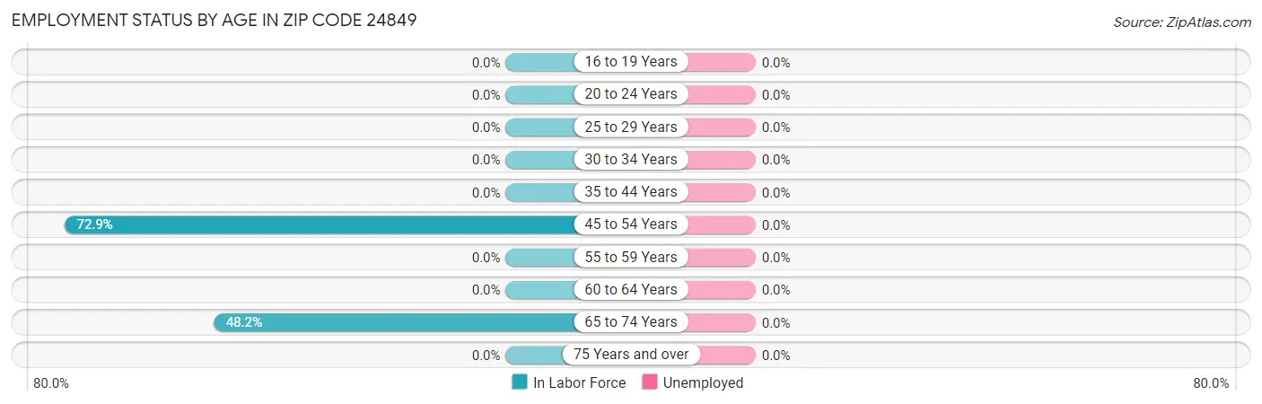 Employment Status by Age in Zip Code 24849