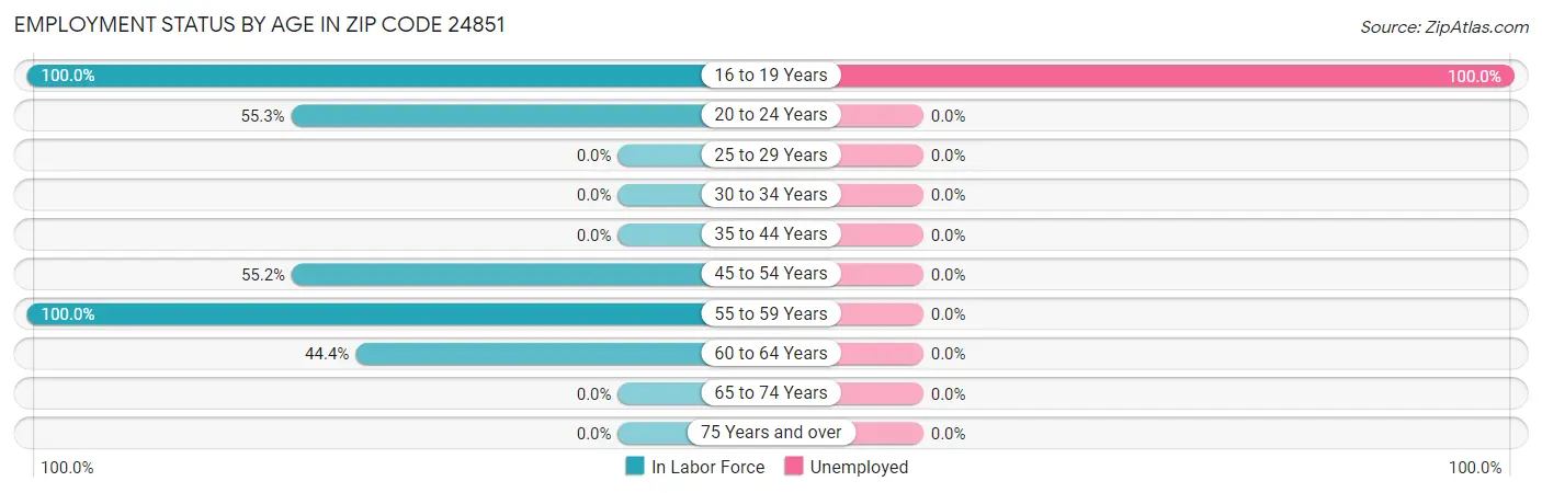 Employment Status by Age in Zip Code 24851
