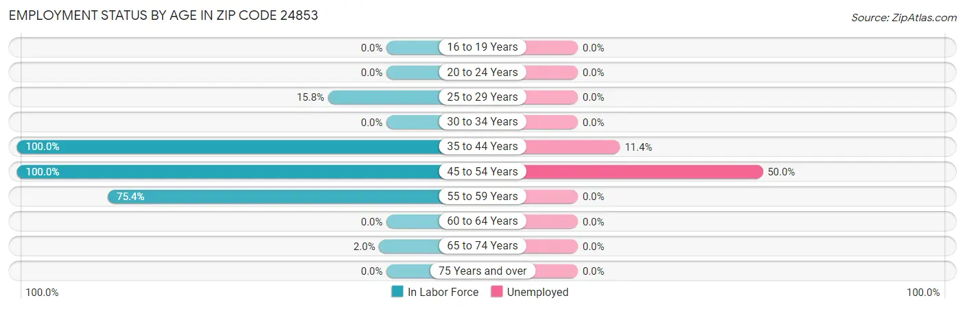 Employment Status by Age in Zip Code 24853