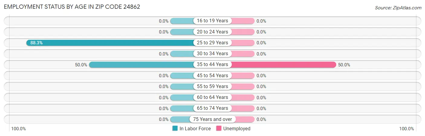 Employment Status by Age in Zip Code 24862